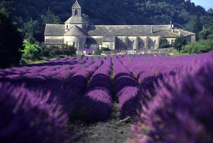 09-abbaye-senanque-gordes